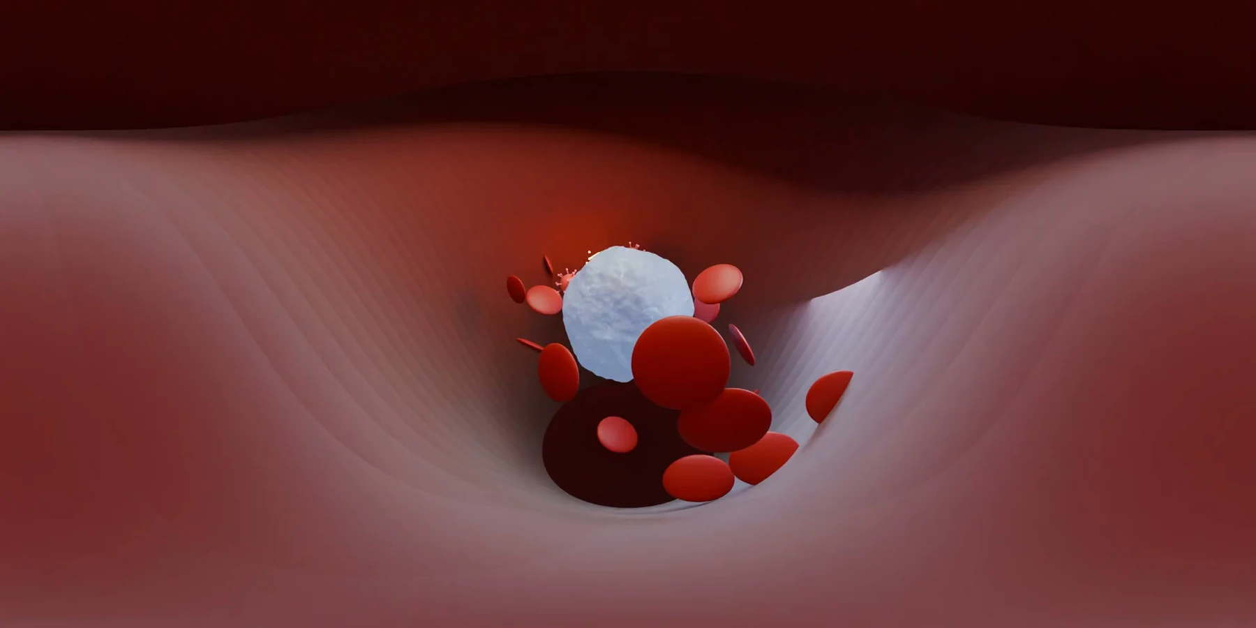 Immune Systemの360°映像